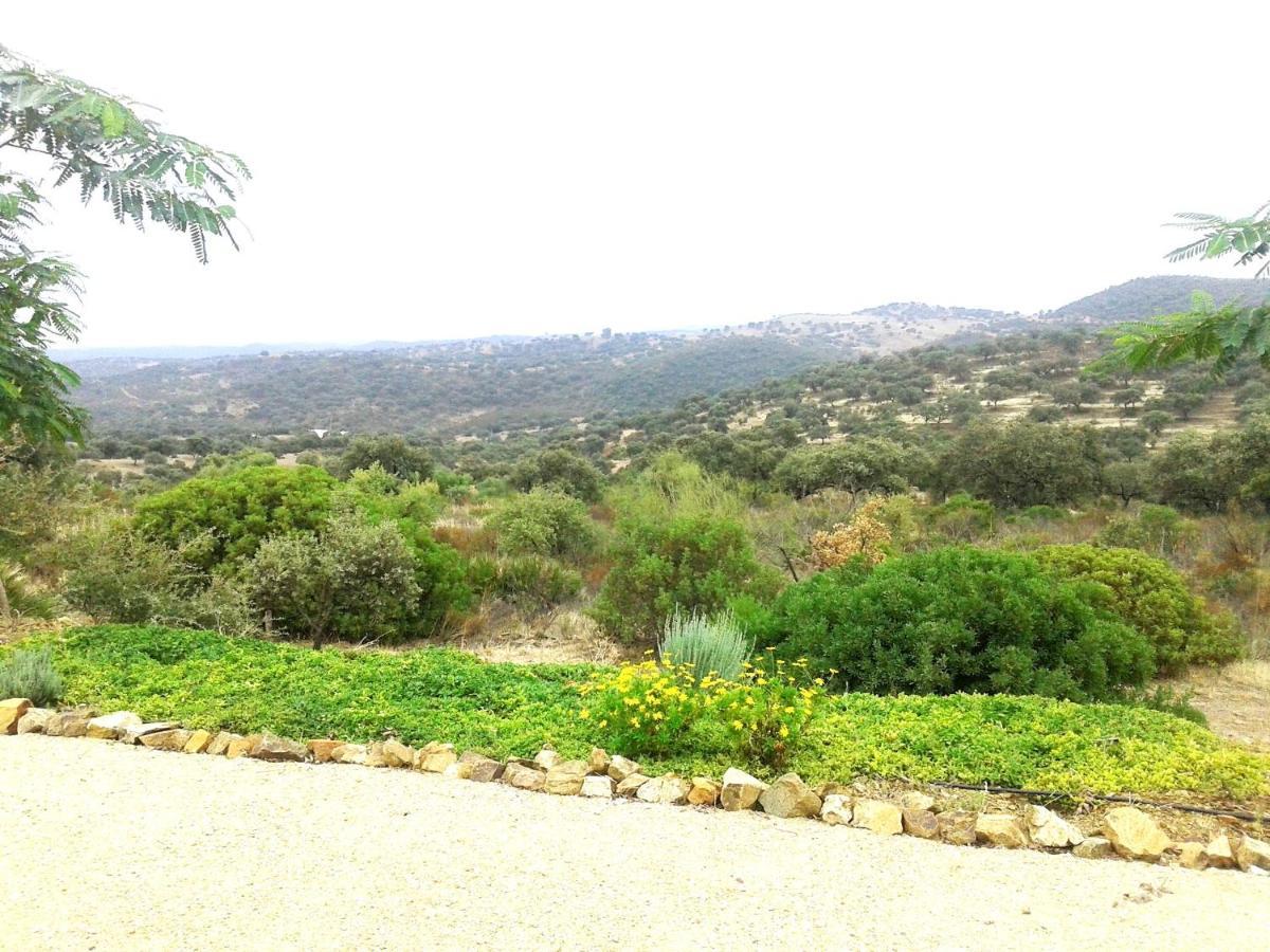 Casa Rural La Aulaga เอลกัสตีโญ เด ลาสกัวร์ดัส ภายนอก รูปภาพ