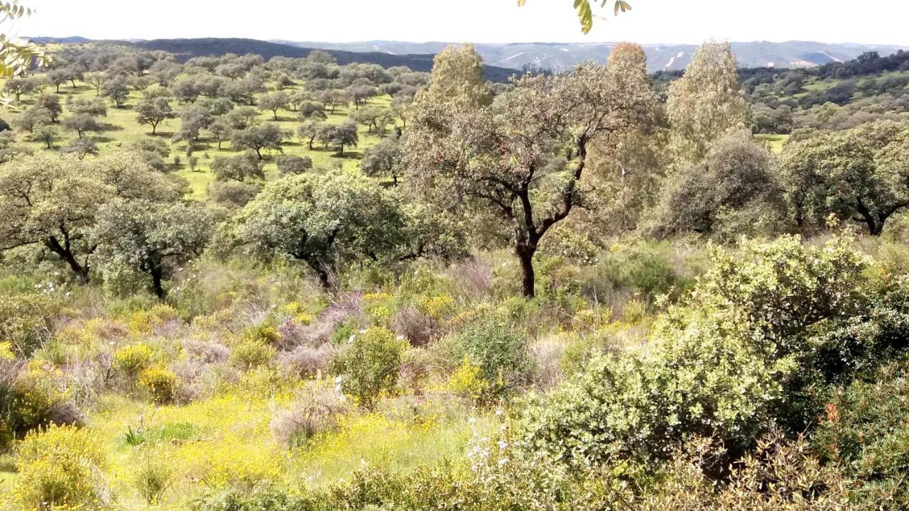 Casa Rural La Aulaga เอลกัสตีโญ เด ลาสกัวร์ดัส ภายนอก รูปภาพ